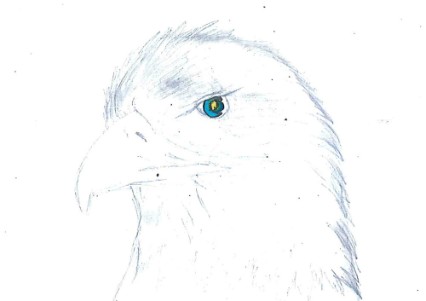 Natlia Almeida Tolotti